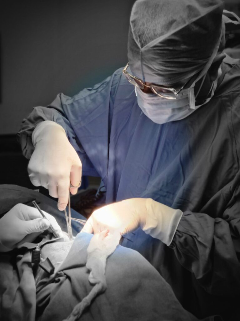 Best Dentist doing surgery